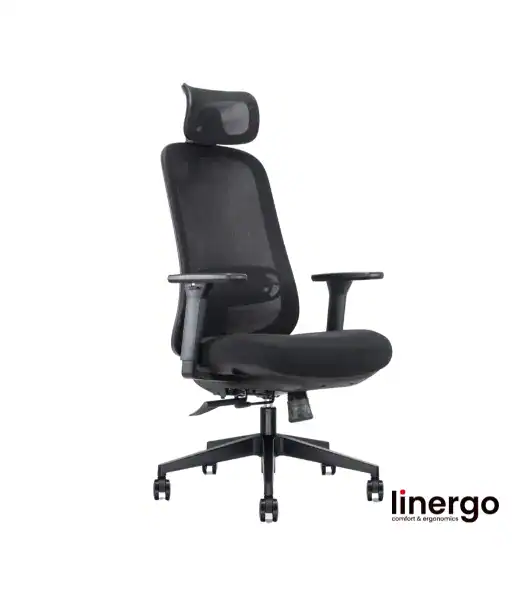 Ergonomisks biroja krēsls Bjarg ERGO, melns/melns.