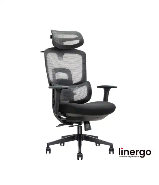 Ergonomisks biroja krēsls Human ERGO, melns/melns.