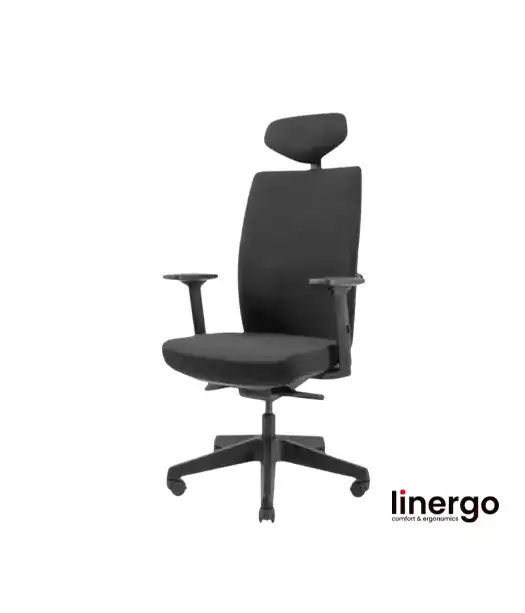 Ergonomic office chair Queen ERGO, black/black.