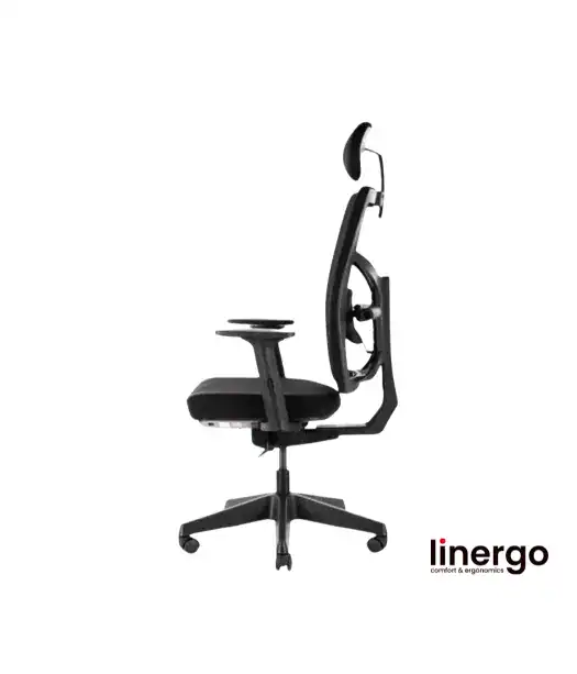 Ergonomic office chair Queen ERGO, black/black.