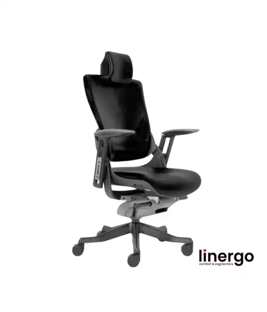 Ergonomic office chair Wau ERGO L, black/black.