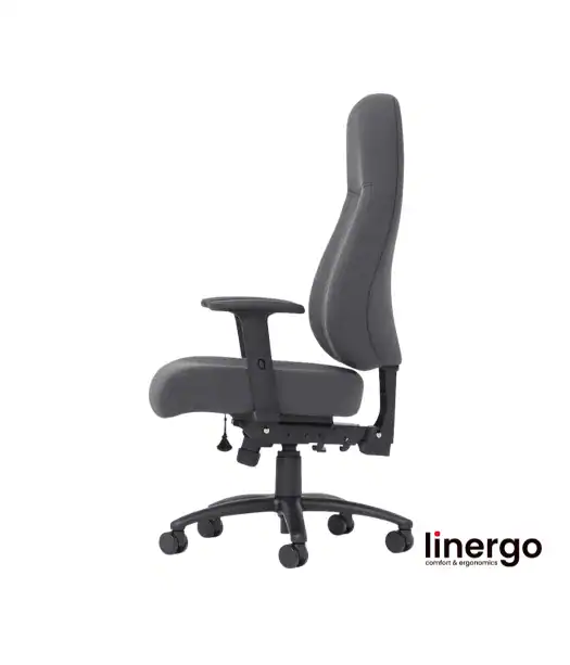 Ergonomisks biroja krēsls Sonata XXL ERGO, pelēks/pelēks.